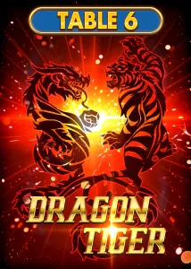 DragonTiger 6