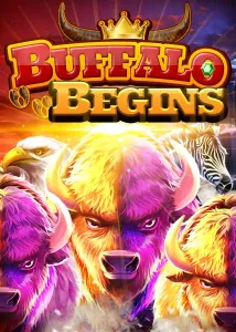 Buffalo Begins