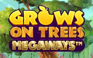 Grows on Trees Megaways 94.00