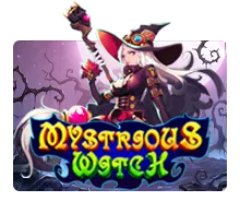 Mysterious Witch