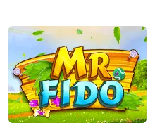 Mr.Fido