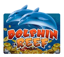 Dolphin Reef