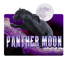 Panther Moon