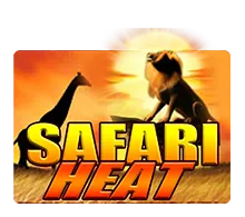 Safari Heat