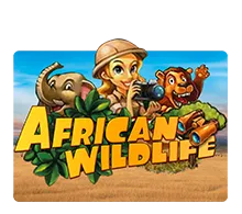 African Wildlife