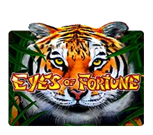 Eyes Of Fortune