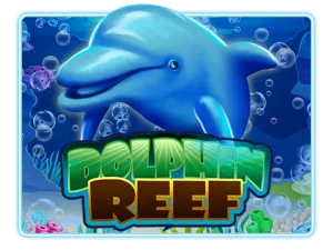 Dolphin Reef